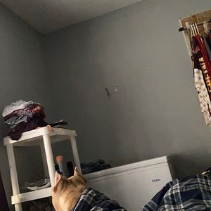 Meet your Posher, Dakota